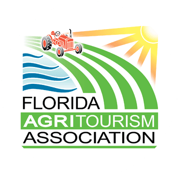 logo-2-1