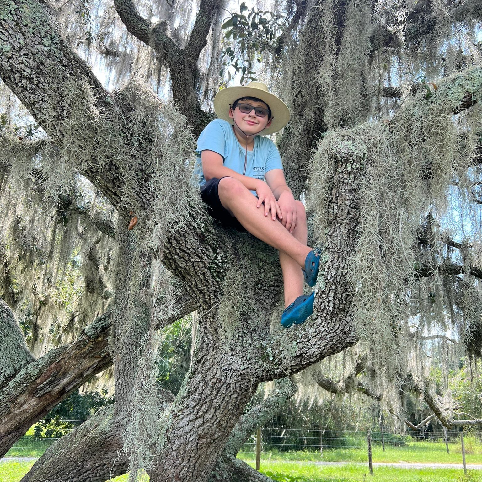 Child wearing sunglasses and hat sitting on a large tree branch.